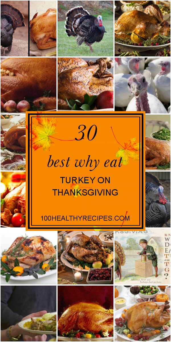 30 Best Why Eat Turkey On Thanksgiving – Best Diet And Healthy Recipes ...